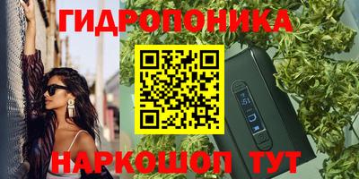 дживик Славгород